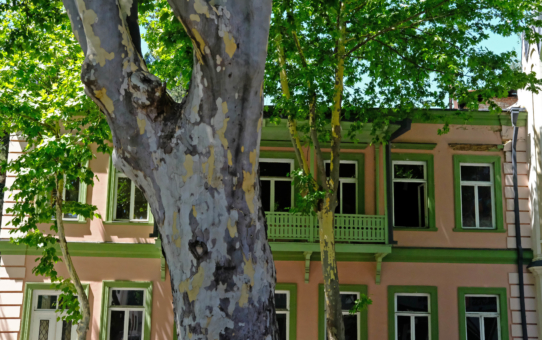 The old streets of Tbilisi