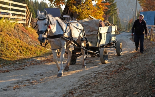 Romanian village life