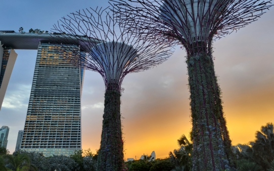 Marina Bay Sands